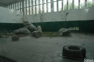 Une des loges des grands pandas