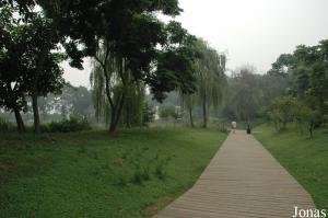 Allée longeant le lac du parc