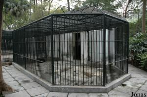 Cages des loups