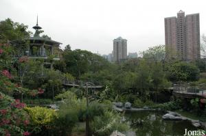 Jardin des anatidés