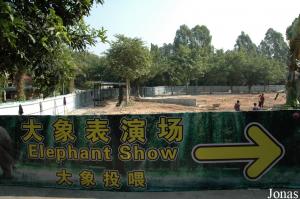 Installation des éléphants en cours de rénovation