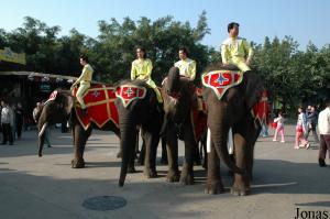 Quatre éléphants asiatiques accueillant les visiteurs à l'entrée du parc