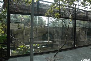 Cage des gibbons à favoris