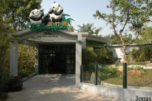 Installation des grands pandas