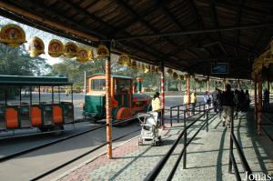 Safari en petit train