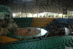 Arène du spectacle de fauves