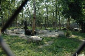 Un des enclos pour accueillir les ours recueillis au centre
