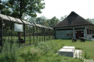 Une des installations des ours