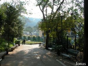 Allée du Jardin Botanique