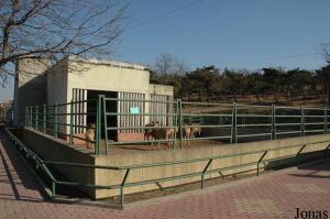 Enclos des cerfs du Père David