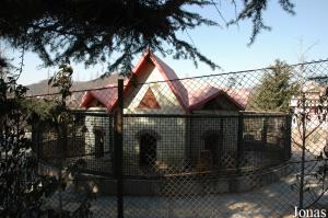 Cages pour chiens
