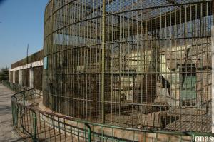 Cages des panthères