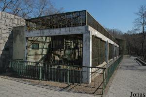 Cages des panthères et des loups