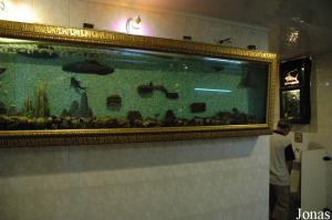 Aquariums dans les toilettes