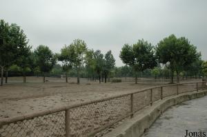 Enclos des autruches, émeus, lamas et blesboks