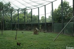 Cage des capucins
