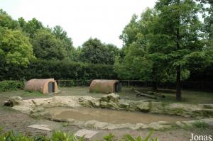 Enclos des capybaras