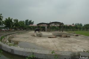 Enclos des éléphants asiatiques