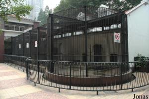Cages des fauves
