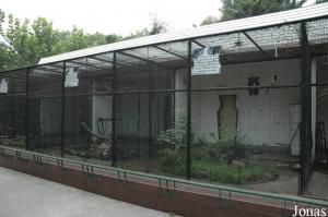 Volières des perruches et des pirolles