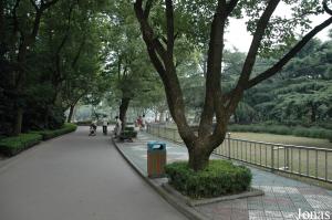 Allée du parc