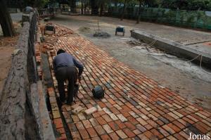 Enclos pour herbivores en cours de construction