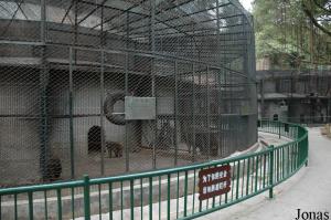 Cage des macaques bruns