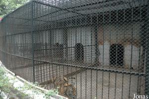 Cages des fauves autour de l'arène de spectacles