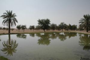 Un des points d'eau proche de l'Al Maha Desert Resort & Spa