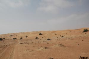 Dubai Desert Conservation Reserve