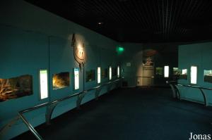 Zone des reptiles, amphibiens, poissons et insectes