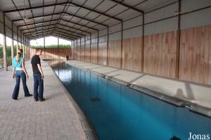 Piscine pour chevaux à l'Alzobair Stud