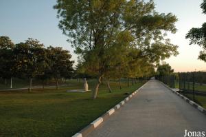 Une des allées du Sharjah National Park