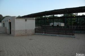 Enclos de la tortue sillonnée au Sharjah National Park