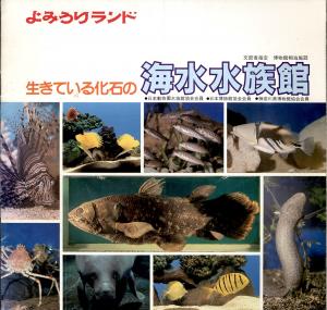 Guide env. 1980