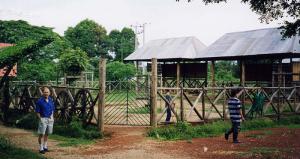 Enclos des éléphants