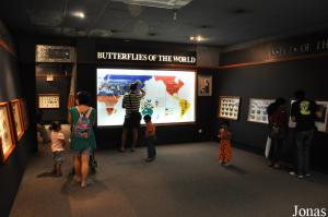 Musée à propos des insectes