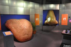 Une des autres expositions du Science Centre Singapore