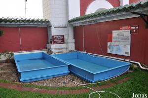 Bassins pour tortues aquatiques