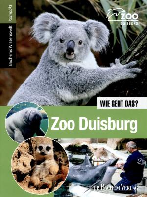 Guide 2023