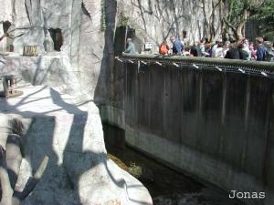 Fosse des ours malais