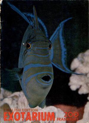 Guide 1965 - Edition anglaise