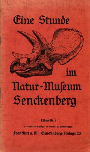 Guide 1938 - 2. Auflage