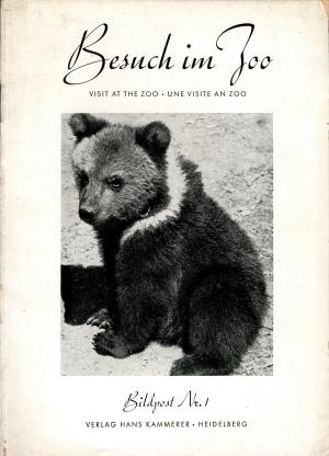 <strong>Besuch im Zoo</strong>, Bildpost Nr. 1, Verlag Hans Kammerer, Heidelberg
