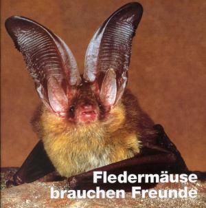 <strong>Fledermäuse brauchen Freunde</strong>, Monika Braun und Friedhelm Weick, Staatliches Museum für Naturkunde Karlsruhe, Karlsruhe, 1994