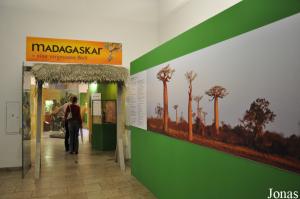 Exposition temporaire à propos de Madagascar