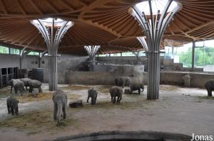 Der Elefantenpark