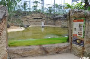 Bassin des crocodiles avec 120 m³ d'eau