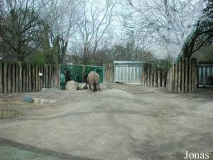 Enclos des rhinocéros