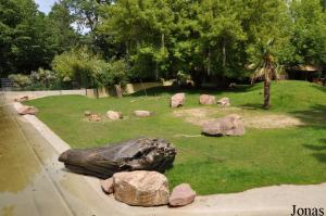 Enclos des tapirs terrestres et des capybaras